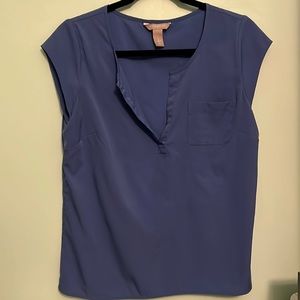 Blue Blouse